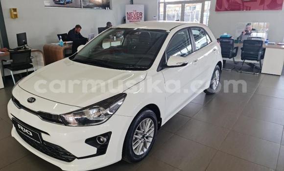 Buy Used Kia Rio White Car in Beitbridge in Matabeleland South