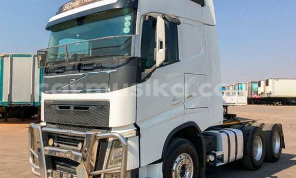 Tenga Tsaru Volvo 480 Chena Mota in Beitbridge in Matabeleland South