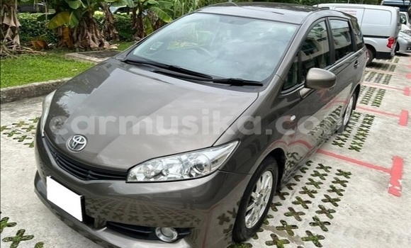 Buy Used Toyota Wish Brown Car in Beitbridge in Matabeleland South