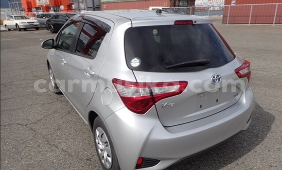 Tenga Tsaru Toyota Vitz Sirivha Mota in Beitbridge in Matabeleland South Tenga Tsaru Toyota Vitz Sirivha Mota in Beitbridge in Matabeleland South