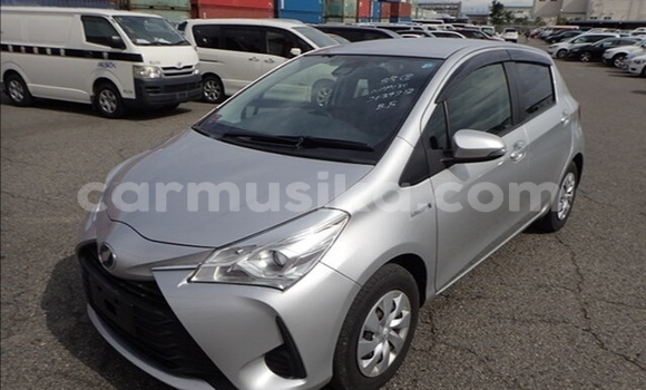 Tenga Tsaru Toyota Vitz Sirivha Mota in Beitbridge in Matabeleland South Tenga Tsaru Toyota Vitz Sirivha Mota in Beitbridge in Matabeleland South