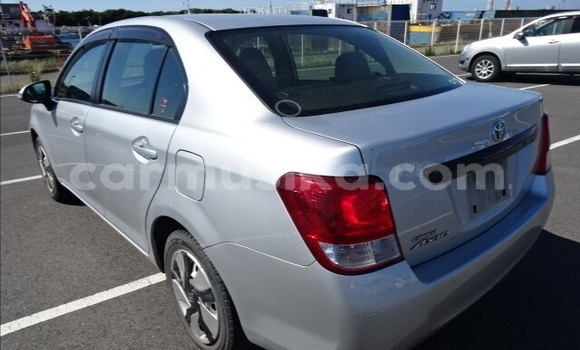 Tenga Tsaru Toyota Axio Sirivha Mota in Beitbridge in Matabeleland South Tenga Tsaru Toyota Axio Sirivha Mota in Beitbridge in Matabeleland South