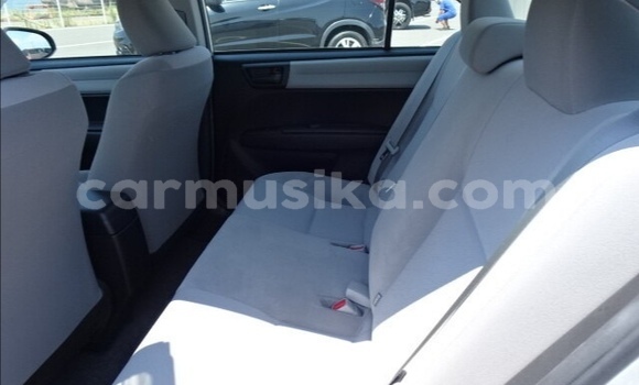 Tenga Tsaru Toyota Axio Sirivha Mota in Beitbridge in Matabeleland South Tenga Tsaru Toyota Axio Sirivha Mota in Beitbridge in Matabeleland South