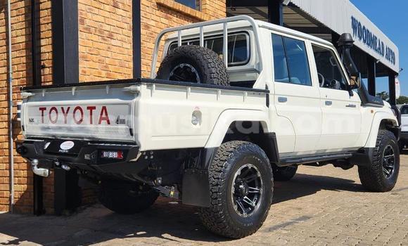 Tenga Tsaru Toyota Land Cruiser Zvimwe Mota in Harare in Harare Tenga Tsaru Toyota Land Cruiser Zvimwe Mota in Harare in Harare