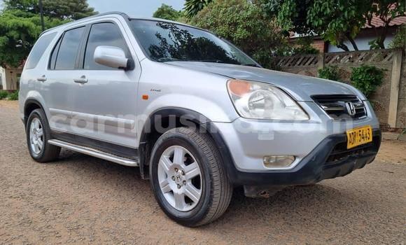 Acheter Occasion Voiture Honda Rafaga Autre à Bindura, Mashonaland Central Acheter Occasion Voiture Honda Rafaga Autre à Bindura, Mashonaland Central