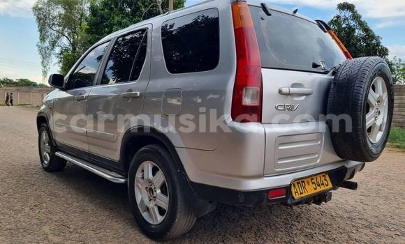 Acheter Occasion Voiture Honda Rafaga Autre à Bindura, Mashonaland Central Acheter Occasion Voiture Honda Rafaga Autre à Bindura, Mashonaland Central