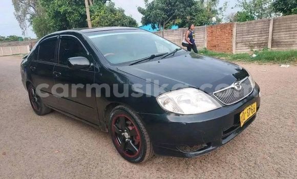 Tenga Tsaru Toyota Corolla Nhema Mota in Bulawayo in Bulawayo