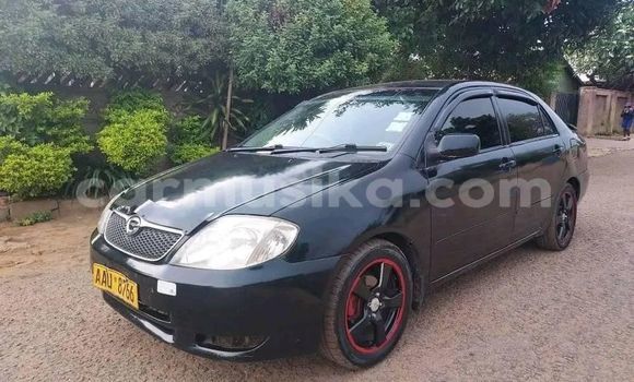 Acheter Occasion Voiture Toyota Corolla Noir à Bulawayo, Bulawayo Acheter Occasion Voiture Toyota Corolla Noir à Bulawayo, Bulawayo