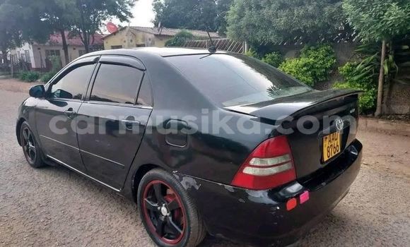 Acheter Occasion Voiture Toyota Corolla Noir à Bulawayo, Bulawayo Acheter Occasion Voiture Toyota Corolla Noir à Bulawayo, Bulawayo