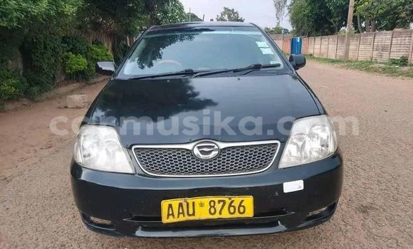 Acheter Occasion Voiture Toyota Corolla Noir à Bulawayo, Bulawayo Acheter Occasion Voiture Toyota Corolla Noir à Bulawayo, Bulawayo