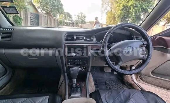 Acheter Occasion Voiture Toyota Blizzard Blanc à Bindura, Mashonaland Central Acheter Occasion Voiture Toyota Blizzard Blanc à Bindura, Mashonaland Central