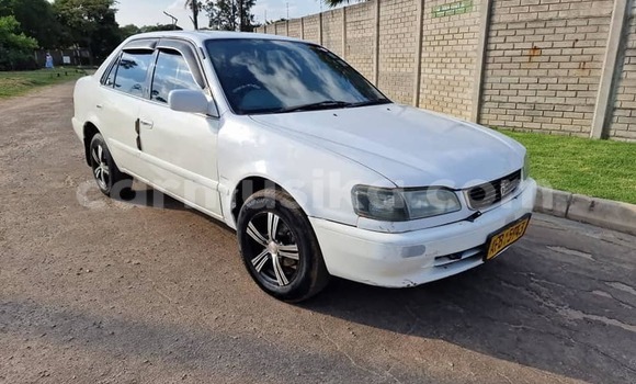 Nunua Ilio tumika Toyota Corolla Nyeupe Gari ndani ya Chegutu nchini Mashonaland West