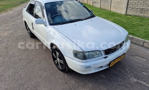 Acheter Occasion Voiture Toyota Corolla Blanc à Chegutu, Mashonaland West Acheter Occasion Voiture Toyota Corolla Blanc à Chegutu, Mashonaland West