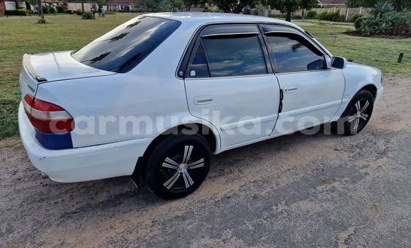 Acheter Occasion Voiture Toyota Corolla Blanc à Chegutu, Mashonaland West Acheter Occasion Voiture Toyota Corolla Blanc à Chegutu, Mashonaland West