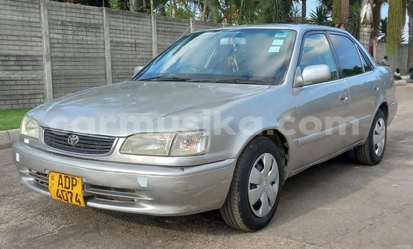 Buy Used Toyota Corolla Other Car in Chinhoyi in Mashonaland West