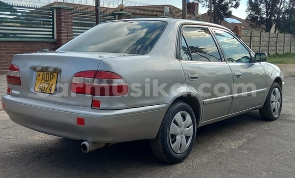 Acheter Occasion Voiture Toyota Corolla Autre à Chinhoyi, Mashonaland West Acheter Occasion Voiture Toyota Corolla Autre à Chinhoyi, Mashonaland West