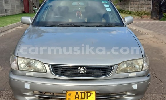 Acheter Occasion Voiture Toyota Corolla Autre à Chinhoyi, Mashonaland West Acheter Occasion Voiture Toyota Corolla Autre à Chinhoyi, Mashonaland West