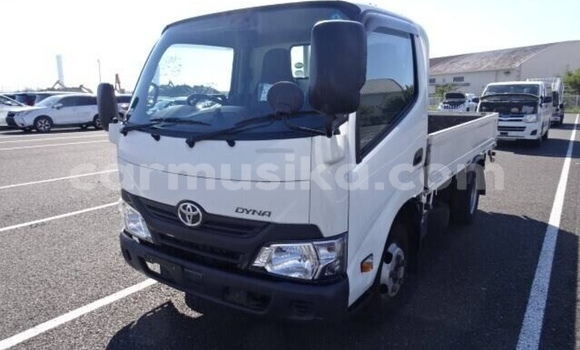 Buy Used Toyota Dyna White Truck in Beitbridge in Matabeleland South
