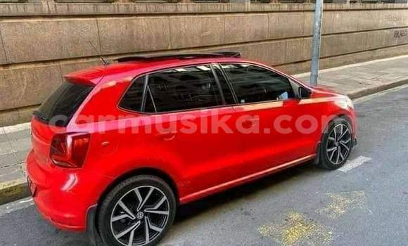 Acheter Occasion Voiture Volkswagen Polo Rouge à Beitbridge, Matabeleland South Acheter Occasion Voiture Volkswagen Polo Rouge à Beitbridge, Matabeleland South