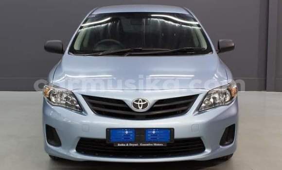 Buy Used Toyota Corolla Blue Car in Beitbridge in Matabeleland South