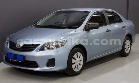 Buy Used Toyota Corolla Blue Car in Beitbridge in Matabeleland South Buy Used Toyota Corolla Blue Car in Beitbridge in Matabeleland South