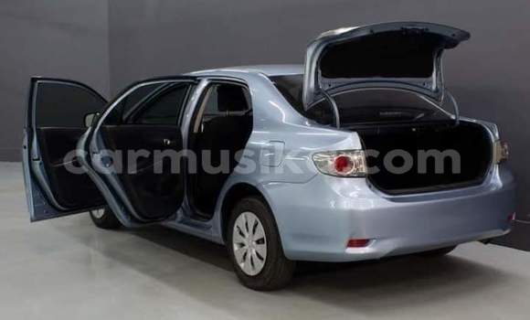 Buy Used Toyota Corolla Blue Car in Beitbridge in Matabeleland South Buy Used Toyota Corolla Blue Car in Beitbridge in Matabeleland South