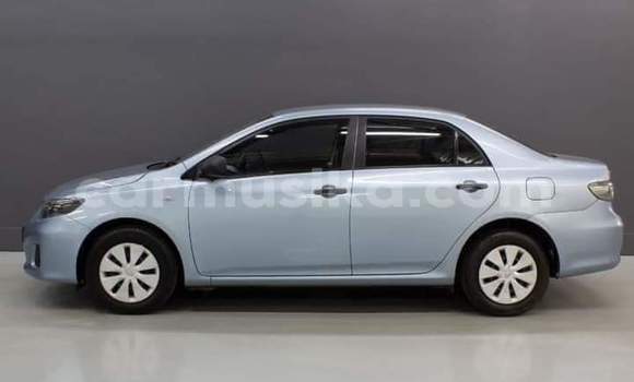 Buy Used Toyota Corolla Blue Car in Beitbridge in Matabeleland South Buy Used Toyota Corolla Blue Car in Beitbridge in Matabeleland South