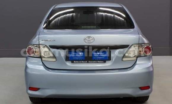 Buy Used Toyota Corolla Blue Car in Beitbridge in Matabeleland South Buy Used Toyota Corolla Blue Car in Beitbridge in Matabeleland South