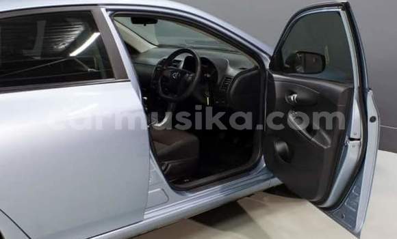 Buy Used Toyota Corolla Blue Car in Beitbridge in Matabeleland South Buy Used Toyota Corolla Blue Car in Beitbridge in Matabeleland South