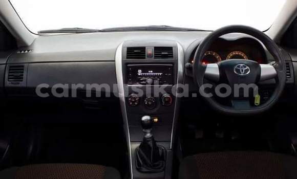 Buy Used Toyota Corolla Blue Car in Beitbridge in Matabeleland South Buy Used Toyota Corolla Blue Car in Beitbridge in Matabeleland South