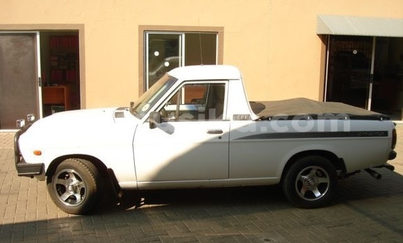 Tenga Tsaru Nissan Pickup Chena Mota in Beitbridge in Matabeleland South Tenga Tsaru Nissan Pickup Chena Mota in Beitbridge in Matabeleland South