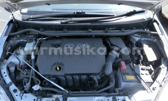 Nunua Ilio tumika Toyota Wish Fedha Gari ndani ya Beitbridge nchini Matabeleland Kusini Nunua Ilio tumika Toyota Wish Fedha Gari ndani ya Beitbridge nchini Matabeleland Kusini