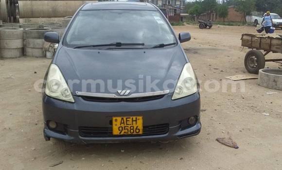 Buy Used Toyota Wish Black Car in Borrowdale in Harare