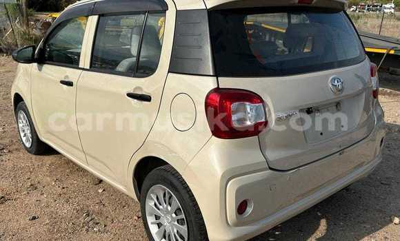 Buy Used Toyota Passo Other Car in Belvedere in Harare