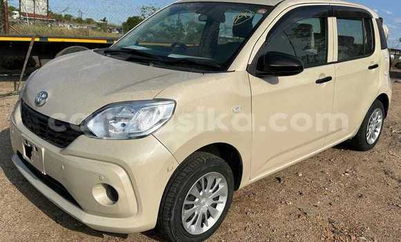 Tenga Tsaru Toyota Passo Zvimwe Mota in Belvedere in Harare Tenga Tsaru Toyota Passo Zvimwe Mota in Belvedere in Harare