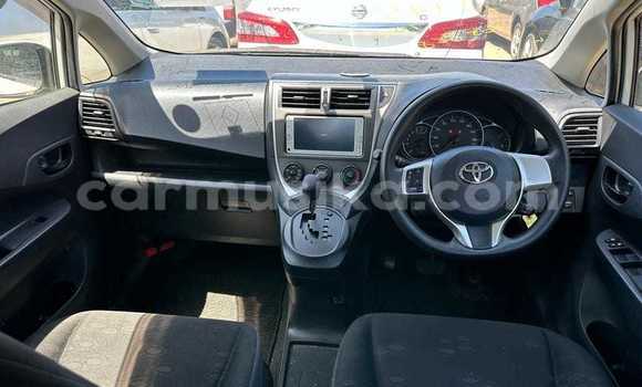 Tenga Tsaru Toyota Ractis Chena Mota in Borrowdale in Harare Tenga Tsaru Toyota Ractis Chena Mota in Borrowdale in Harare