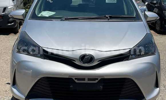 Tenga Tsaru Toyota Vitz Zvimwe Mota in Borrowdale in Harare Tenga Tsaru Toyota Vitz Zvimwe Mota in Borrowdale in Harare