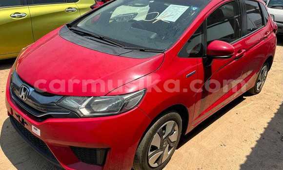 Tenga Tsaru Honda Fit Tsvuku Mota in Bulawayo in Bulawayo Tenga Tsaru Honda Fit Tsvuku Mota in Bulawayo in Bulawayo