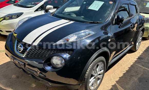 Buy Used Nissan Juke Black Car in Borrowdale in Harare