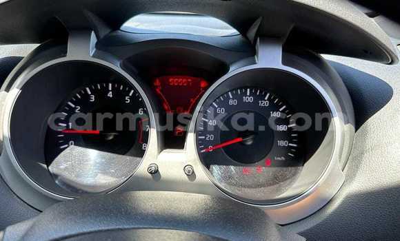 Tenga Tsaru Nissan Juke Nhema Mota in Borrowdale in Harare Tenga Tsaru Nissan Juke Nhema Mota in Borrowdale in Harare