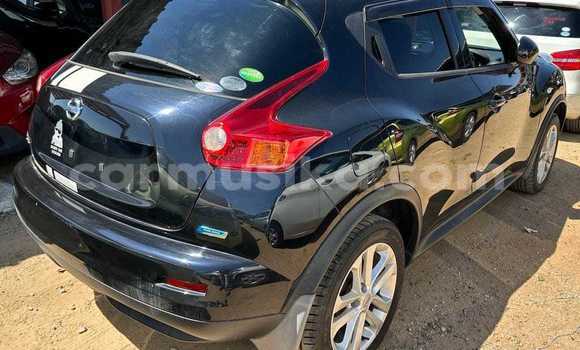 Tenga Tsaru Nissan Juke Nhema Mota in Borrowdale in Harare Tenga Tsaru Nissan Juke Nhema Mota in Borrowdale in Harare