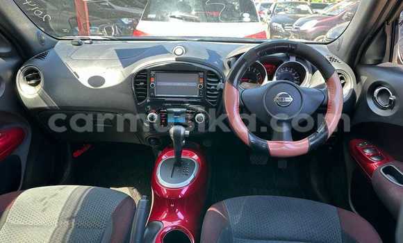 Tenga Tsaru Nissan Juke Nhema Mota in Borrowdale in Harare Tenga Tsaru Nissan Juke Nhema Mota in Borrowdale in Harare