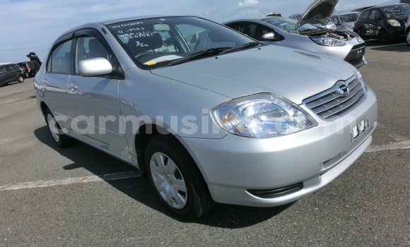 Acheter Occasion Voiture Toyota Corolla Gris à Beitbridge, Matabeleland South