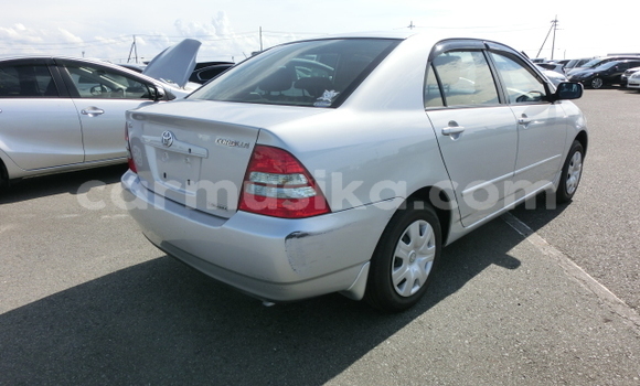 Nunua Ilio tumika Toyota Corolla Fedha Gari ndani ya Beitbridge nchini Matabeleland Kusini Nunua Ilio tumika Toyota Corolla Fedha Gari ndani ya Beitbridge nchini Matabeleland Kusini