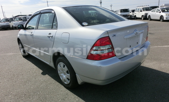 Nunua Ilio tumika Toyota Corolla Fedha Gari ndani ya Beitbridge nchini Matabeleland Kusini Nunua Ilio tumika Toyota Corolla Fedha Gari ndani ya Beitbridge nchini Matabeleland Kusini