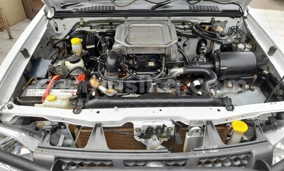 Buy Used Nissan Hardbody Other Car in Beitbridge in Matabeleland South Buy Used Nissan Hardbody Other Car in Beitbridge in Matabeleland South