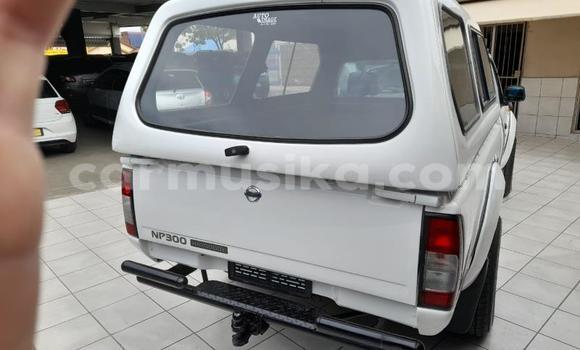 Buy Used Nissan Hardbody Other Car in Beitbridge in Matabeleland South Buy Used Nissan Hardbody Other Car in Beitbridge in Matabeleland South