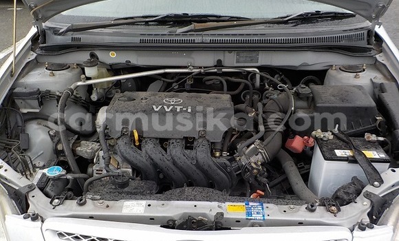 Nunua Ilio tumika Toyota Allex Fedha Gari ndani ya Beitbridge nchini Matabeleland Kusini Nunua Ilio tumika Toyota Allex Fedha Gari ndani ya Beitbridge nchini Matabeleland Kusini