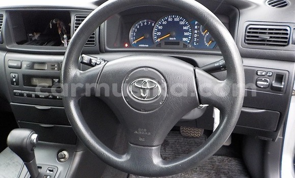 Nunua Ilio tumika Toyota Allex Fedha Gari ndani ya Beitbridge nchini Matabeleland Kusini Nunua Ilio tumika Toyota Allex Fedha Gari ndani ya Beitbridge nchini Matabeleland Kusini