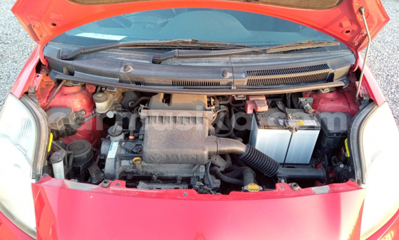 Buy Used Toyota Vitz Red Car in Beitbridge in Matabeleland South Buy Used Toyota Vitz Red Car in Beitbridge in Matabeleland South